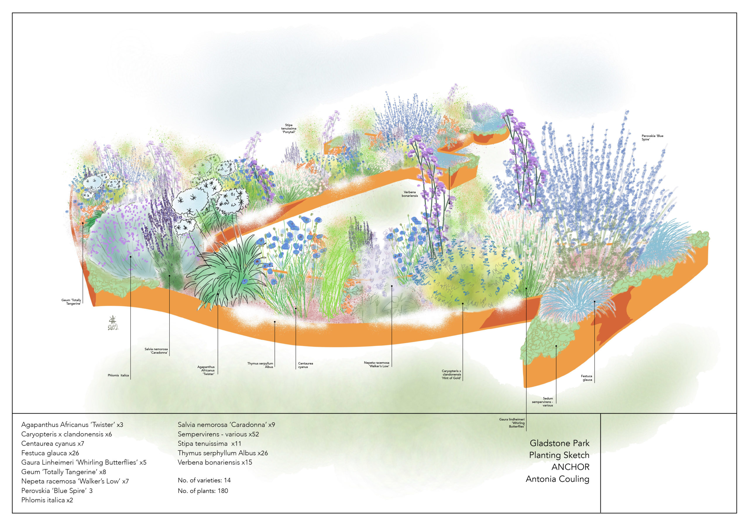 A3 PLANTING SKETCH - Gladstone Park Land Art - Antonia Couling -