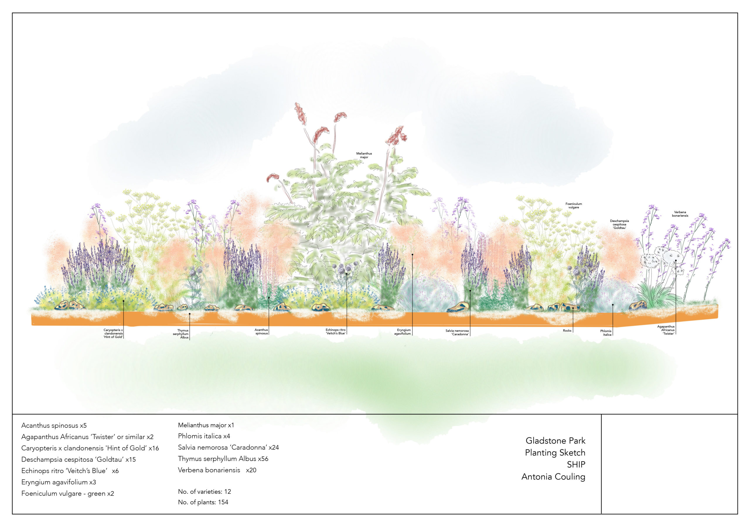 A3 PLANTING SKETCH - Gladstone Park Land Art - Antonia Couling -